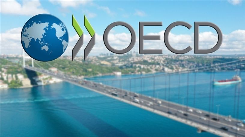 OECD, Türkiye için 2024 yılı TÜFE beklentisini yükseltti