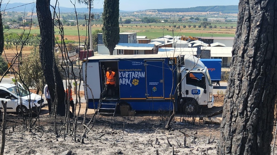 Anadolu Sigorta’dan kurtaran işbiriliği