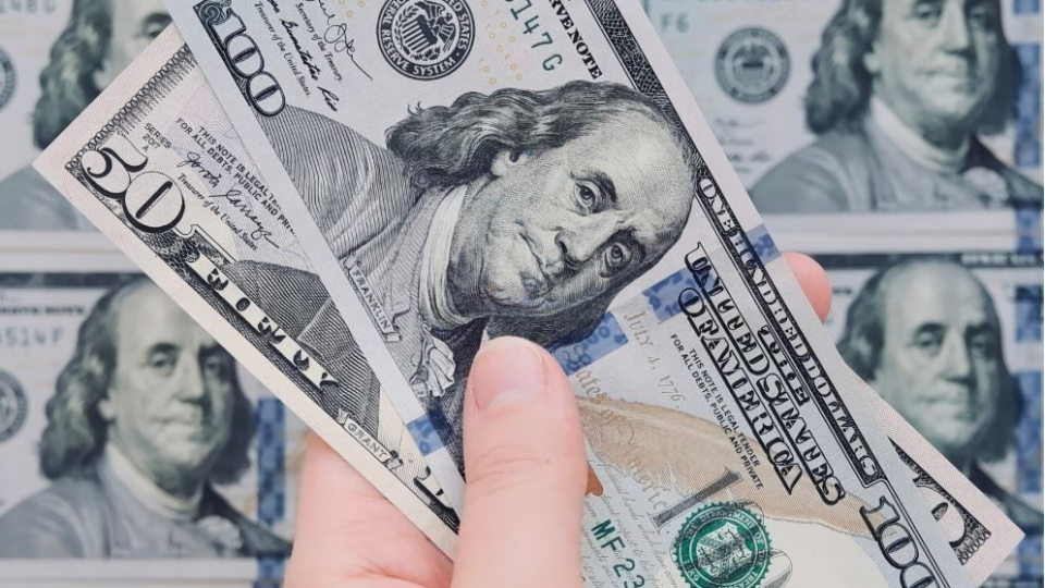 Haftanın kazandıranı döviz