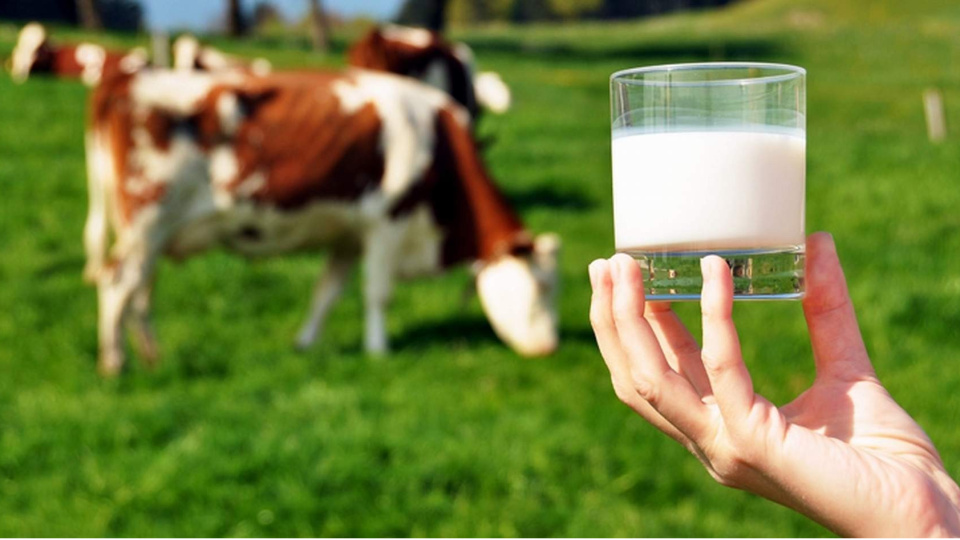 USK çiğ süt tavsiye satış fiyatını 2,08 TL artırdı