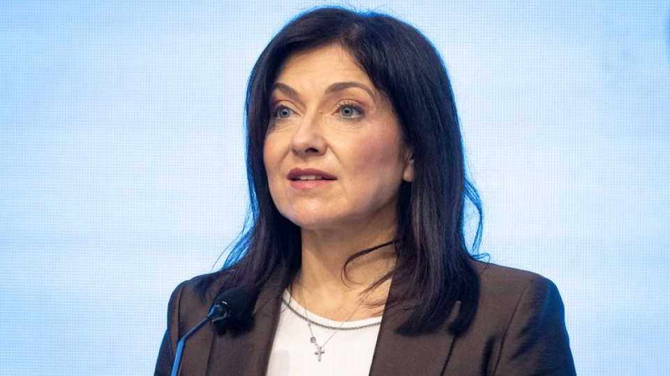 Almanya Ekonomi Bakanı’ndan Rus gazıyla ilgili Türkiye yorumu