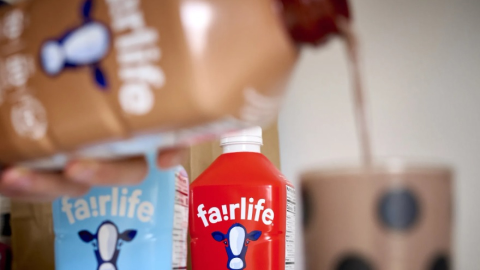Coca-Cola’nın Fairlife süt ürünleri şirketi siber saldırıya uğradı